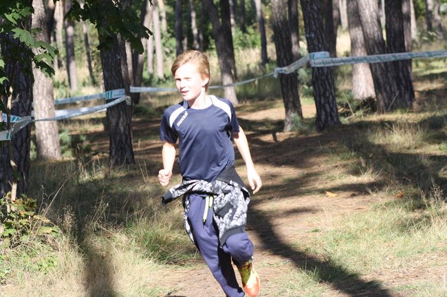 Nic, tylko biegać... - zdjęcia