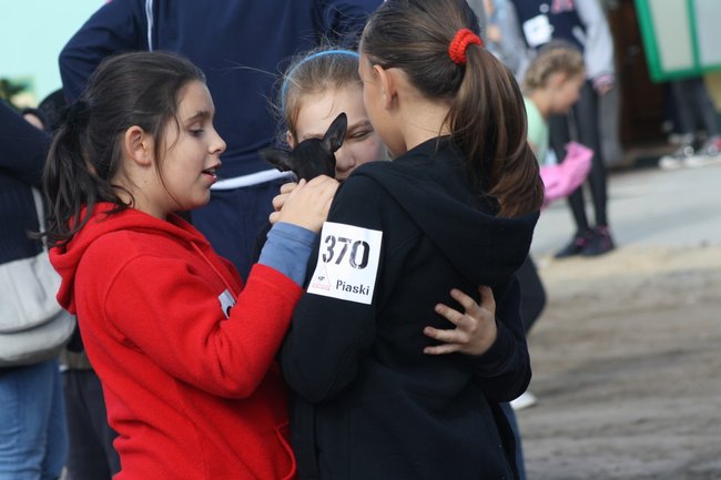 Nic, tylko biegać... - zdjęcia