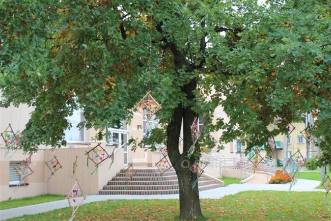 Zainspirowani naturą - zdjęcia