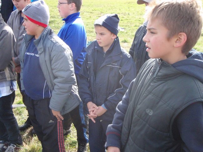 Latawiec zamiast komputera - zdjęcia