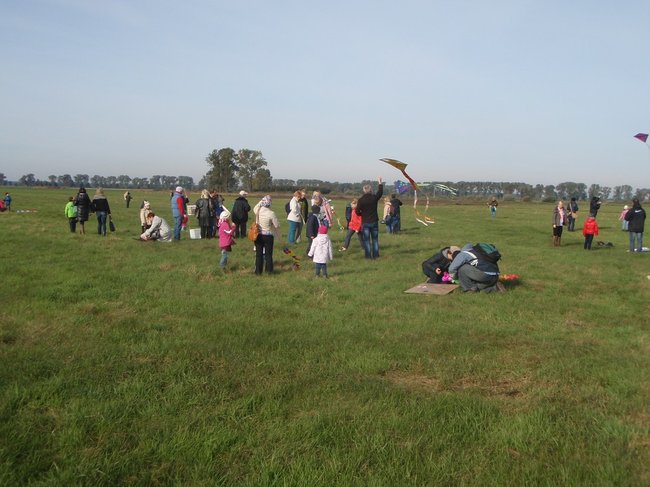 Latawiec zamiast komputera - zdjęcia