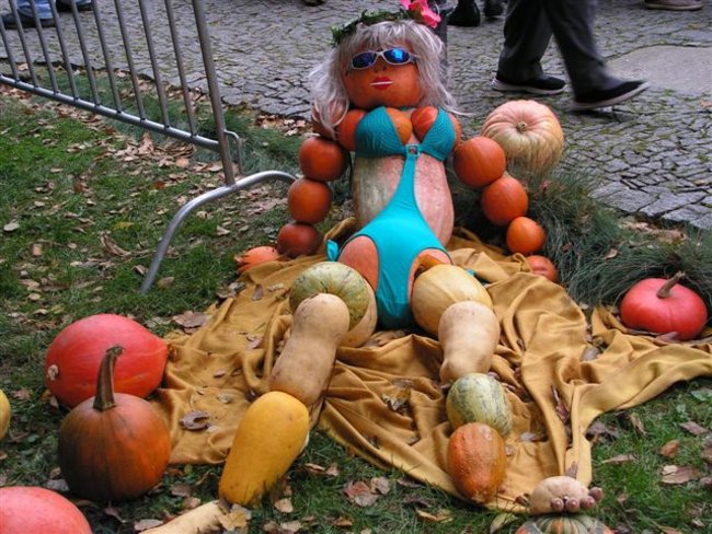 Gospo(dynie) na Dolnym Śląsku - zdjęcia