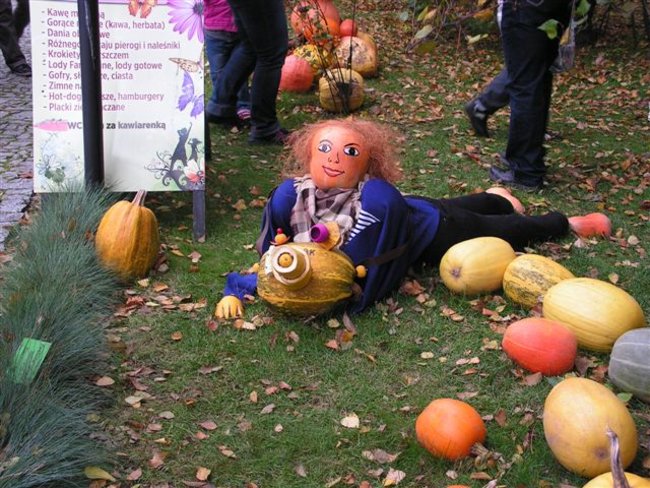 Gospo(dynie) na Dolnym Śląsku - zdjęcia