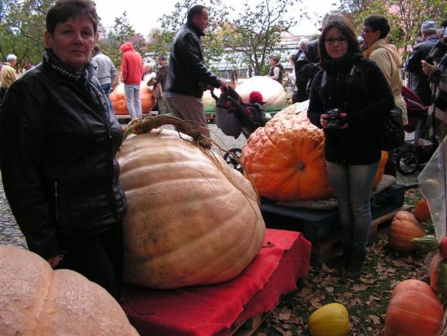 Gospo(dynie) na Dolnym Śląsku - zdjęcia