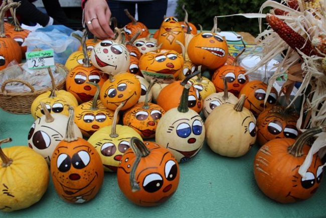 Gospo(dynie) na Dolnym Śląsku - zdjęcia