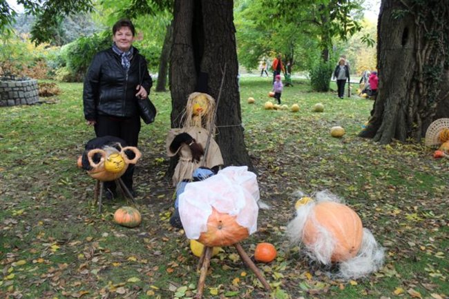 Gospo(dynie) na Dolnym Śląsku - zdjęcia