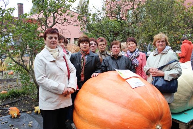 Gospo(dynie) na Dolnym Śląsku - zdjęcia