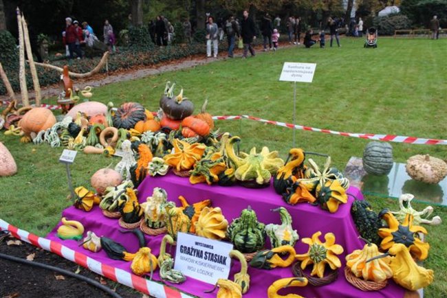 Gospo(dynie) na Dolnym Śląsku - zdjęcia