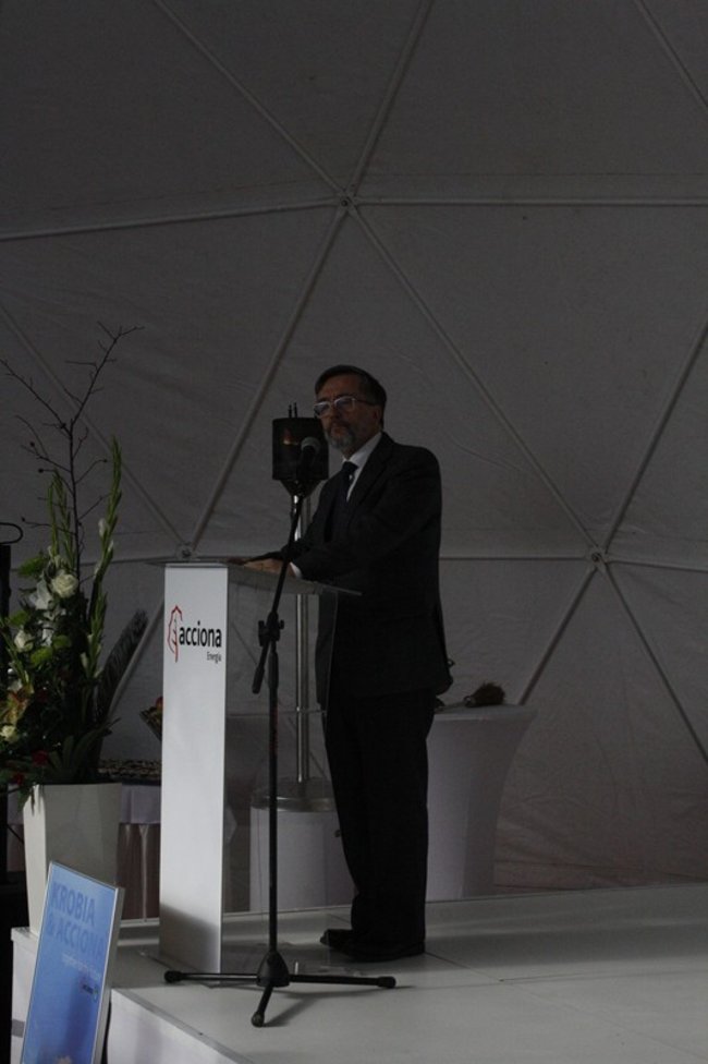 Wiatrowa farma otwarta - zdjęcia