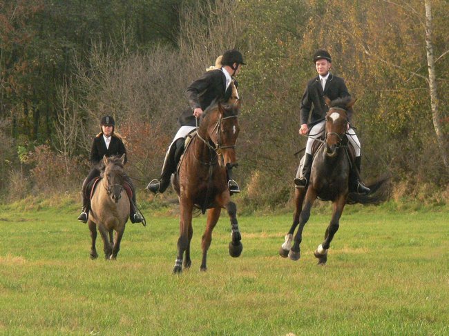 W pogoni za lisem - zdjęcia