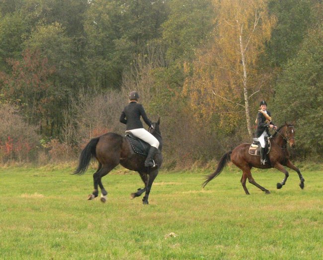 W pogoni za lisem - zdjęcia