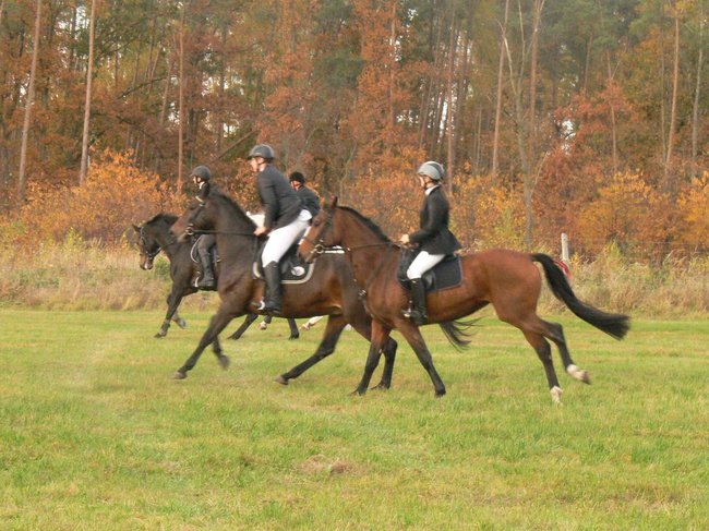 W pogoni za lisem - zdjęcia