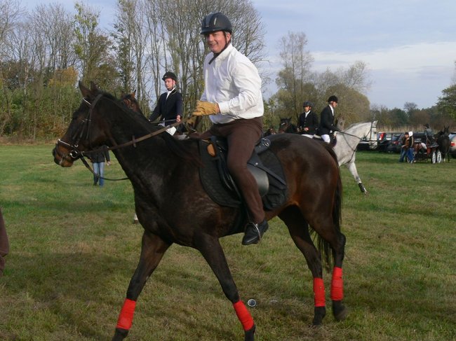 W pogoni za lisem - zdjęcia