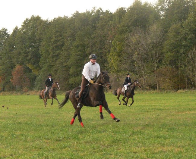 W pogoni za lisem - zdjęcia
