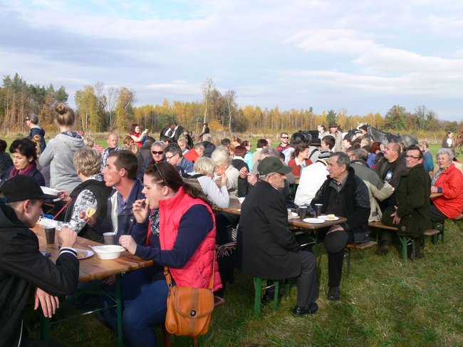 W pogoni za lisem - zdjęcia