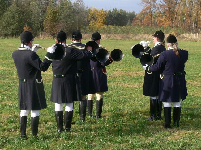 W pogoni za lisem - zdjęcia