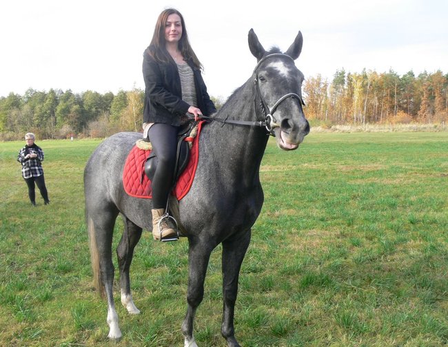 W pogoni za lisem - zdjęcia