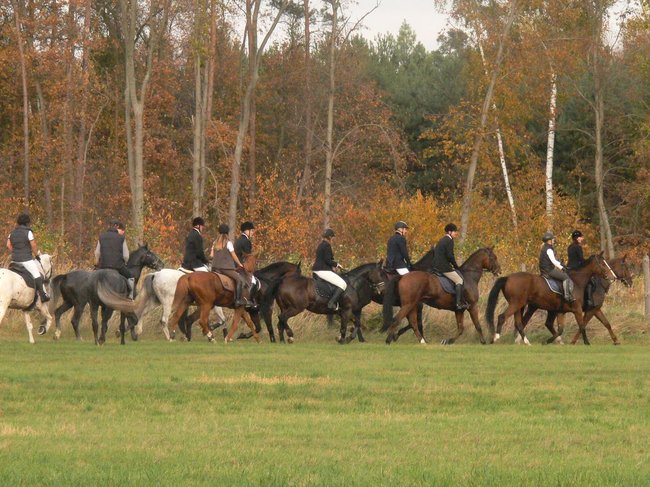W pogoni za lisem - zdjęcia