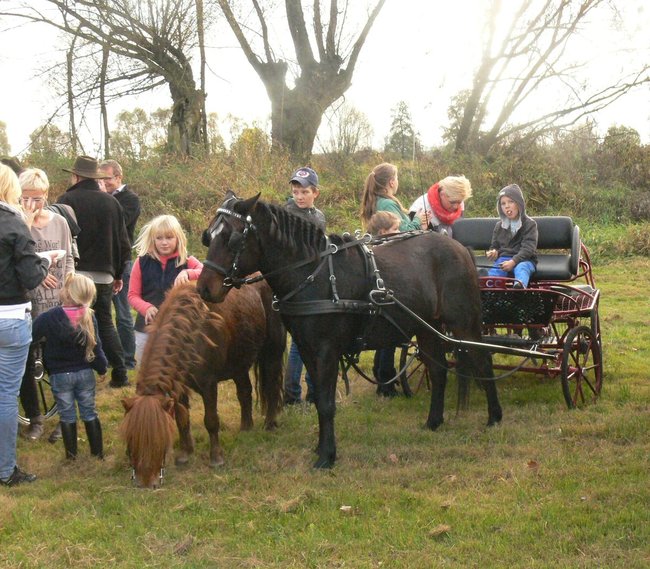 W pogoni za lisem - zdjęcia