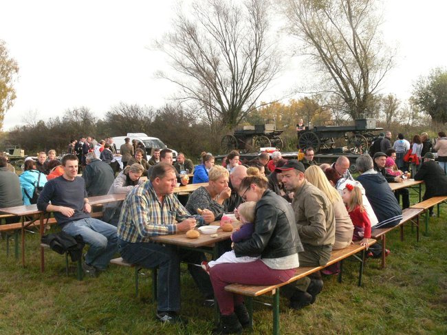 W pogoni za lisem - zdjęcia