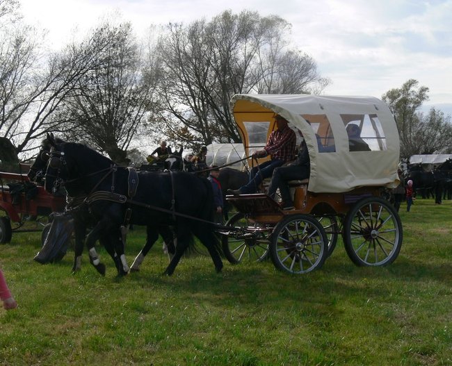 W pogoni za lisem - zdjęcia