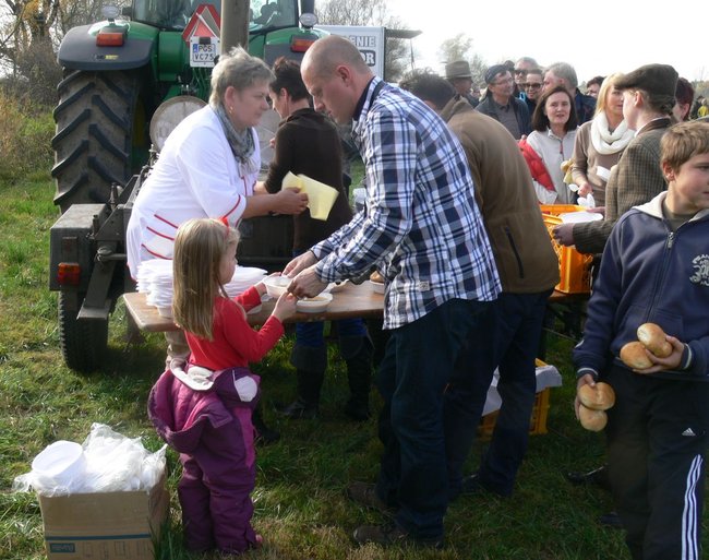 W pogoni za lisem - zdjęcia