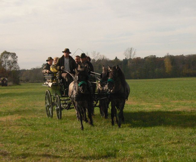 W pogoni za lisem - zdjęcia