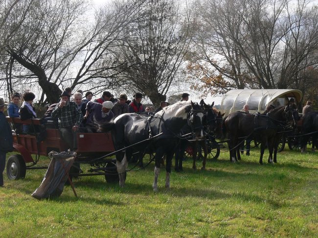 W pogoni za lisem - zdjęcia