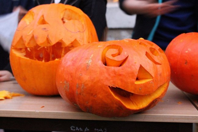 Chcą się tak bawić co roku - zdjęcia