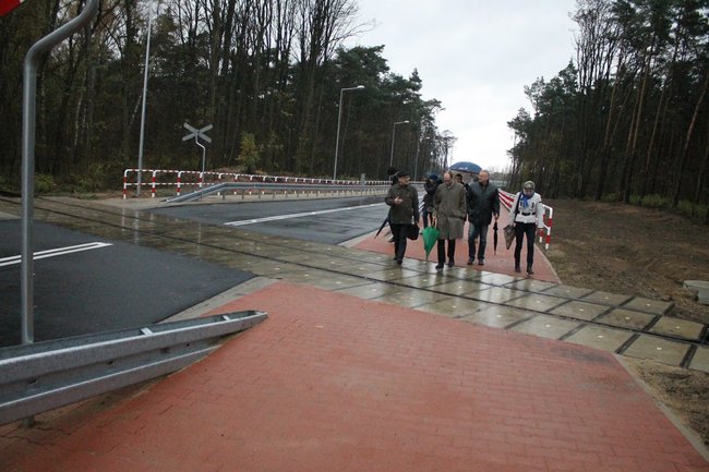 Droga przez las otwarta - zdjęcia