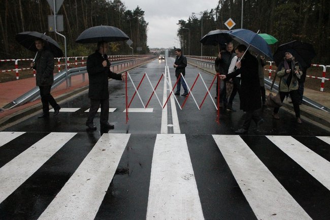 Droga przez las otwarta - zdjęcia