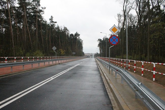 Droga przez las otwarta - zdjęcia