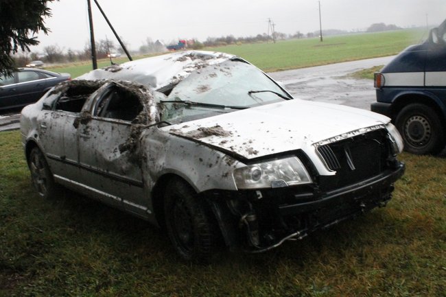 Ściął znak i dachował - zdjęcia