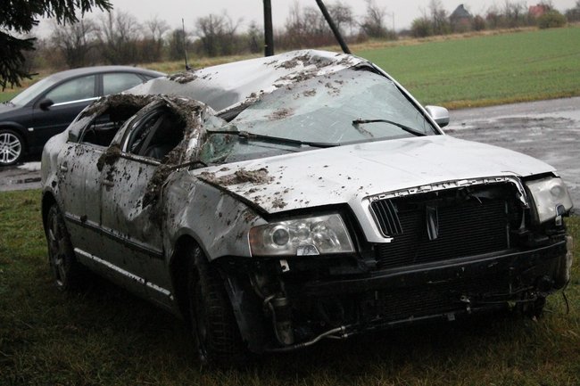 Ściął znak i dachował - zdjęcia