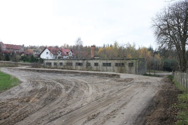 Wszystko wróciło do normy - zdjęcia