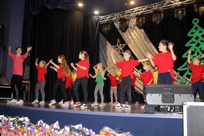 Stroików bez liku - zdjęcia