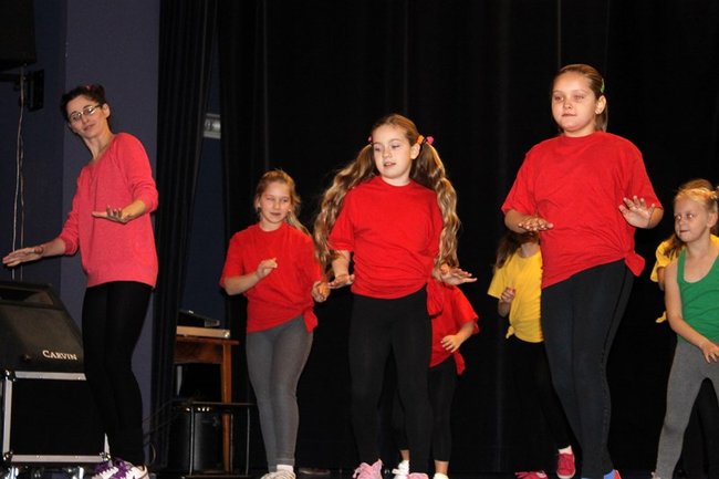 Stroików bez liku - zdjęcia