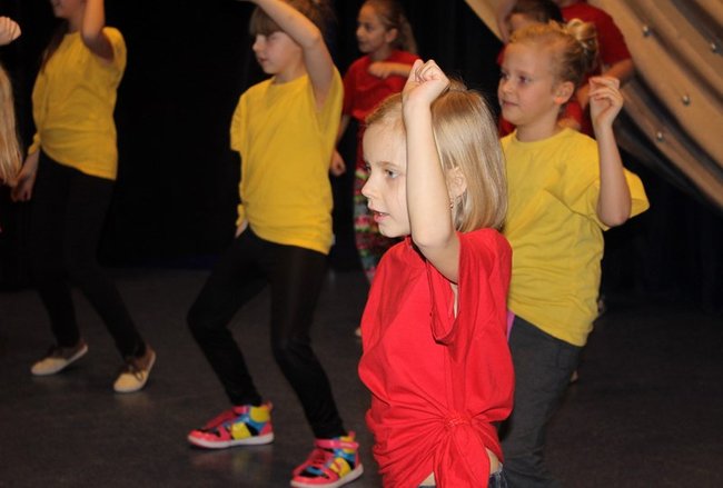 Stroików bez liku - zdjęcia