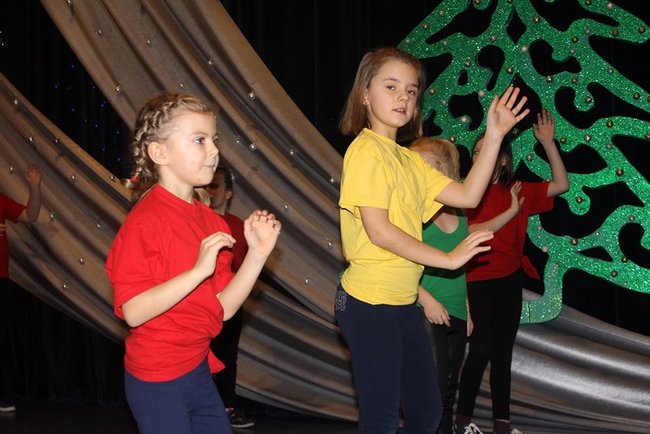 Stroików bez liku - zdjęcia