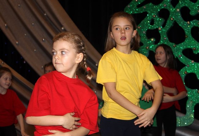 Stroików bez liku - zdjęcia