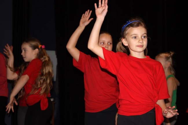 Stroików bez liku - zdjęcia