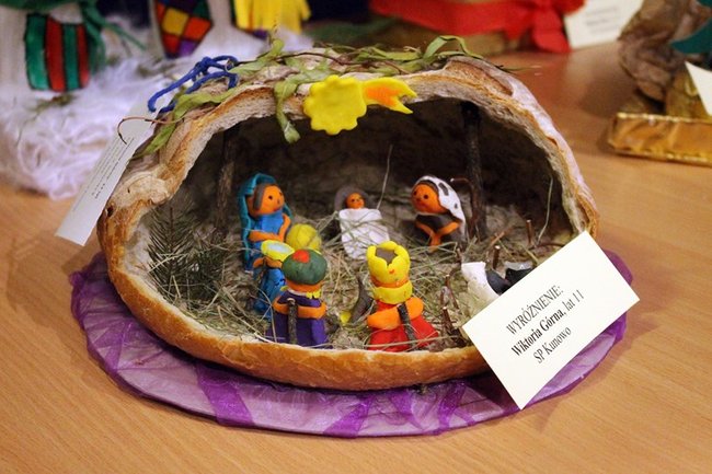 Stroików bez liku - zdjęcia