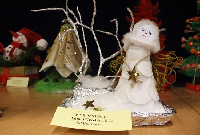 Stroików bez liku - zdjęcia