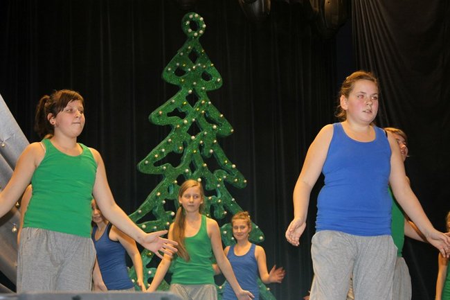 Stroików bez liku - zdjęcia