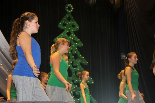 Stroików bez liku - zdjęcia