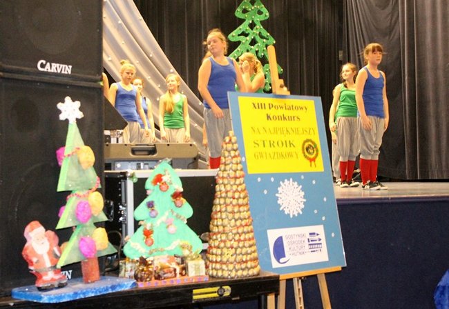 Stroików bez liku - zdjęcia