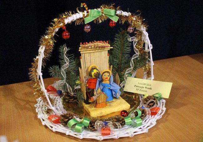 Stroików bez liku - zdjęcia