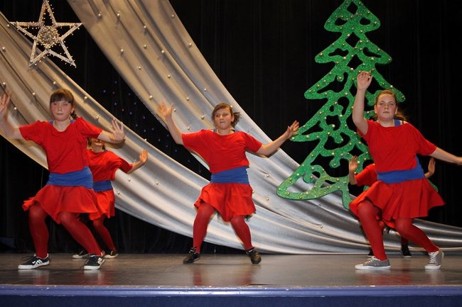 Stroików bez liku - zdjęcia