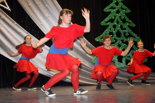 Stroików bez liku - zdjęcia