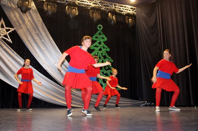 Stroików bez liku - zdjęcia